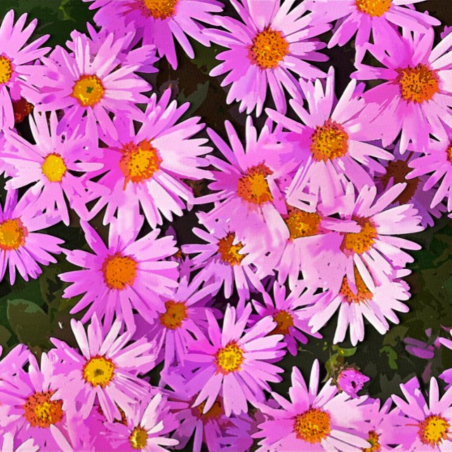 FOTO DÍAS (A watercolor of pretty pink daisies.)