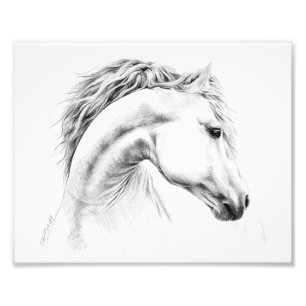 Foto Dibujo a lápiz de retrato de caballo Arte ecuestre