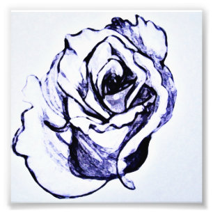 Foto Dibujo a mano de flor de rosa