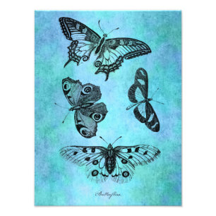 Foto Dibujo azul verde azulado de la mariposa del