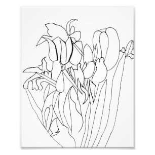 Foto Dibujo de flores de línea