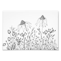 Dibujo de flores silvestres