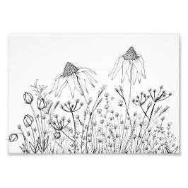 Foto Dibujo de flores silvestres