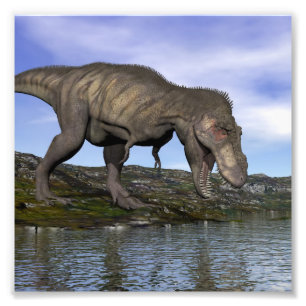 Foto Dinosaurio del rex del Tyrannosaurus - 3D rinden