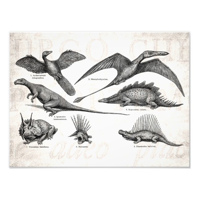 Foto Dinosaurios retro Ilustracion de dinosaurios vinta (Frente)