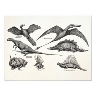 Foto Dinosaurios retros del ilustracion del dinosaurio