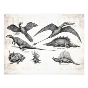 Foto Dinosaurios retros del ilustracion del dinosaurio