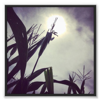 Foto Dios de Sun-Corn