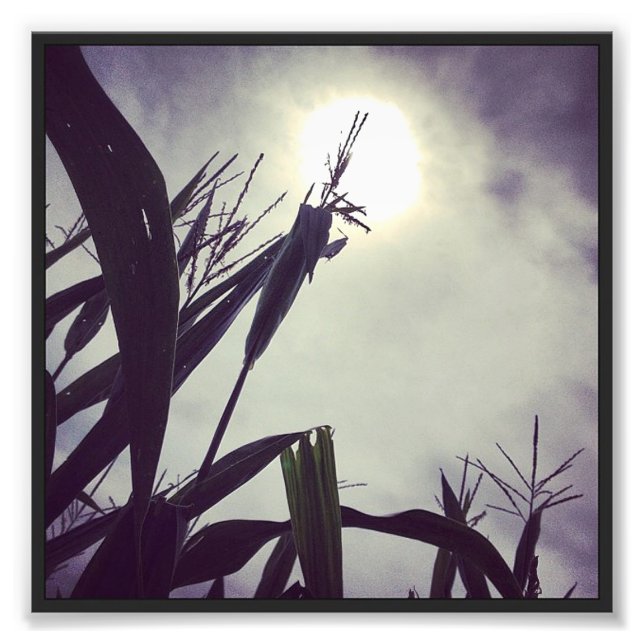 Foto Dios de Sun-Corn (Frente)