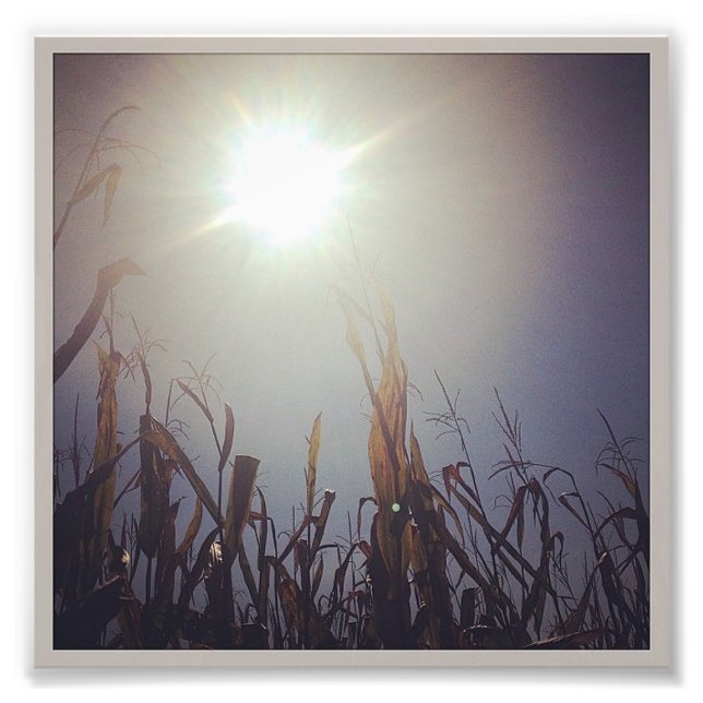 Foto Dios de Sun-Corn 2 (Frente)