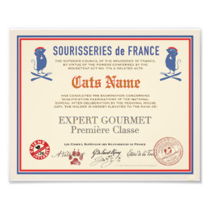 Foto Diploma de Gato Gourmet Sourisseries de Francia 