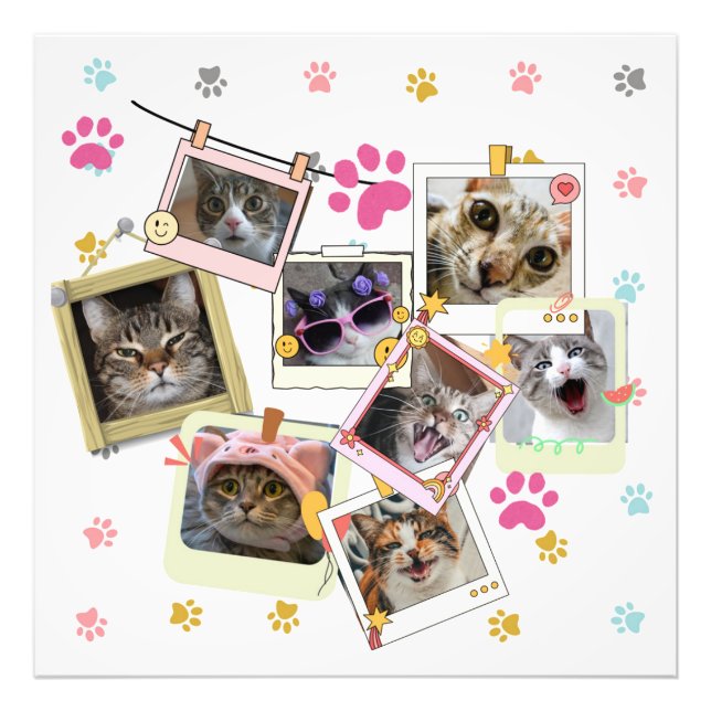 Foto Diseño de collages de gatos lindo y divertido (Frente)