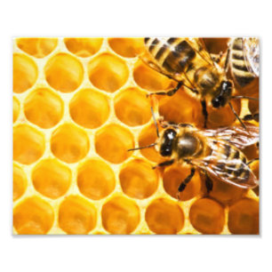 Foto Diseño de patrón de panal y abejas