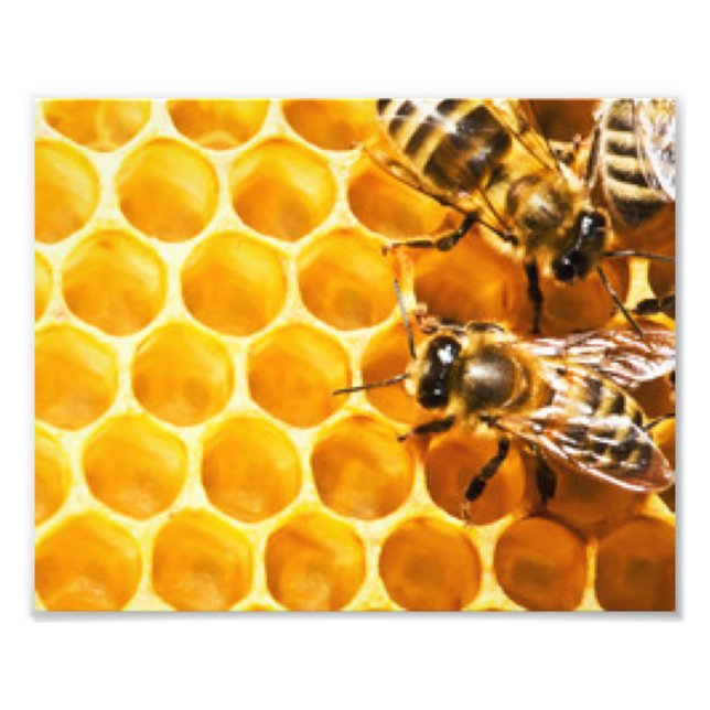 Foto Diseño de patrón de panal y abejas (Frente)