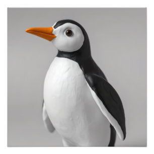 Foto Diseño de Pingüino Adorable – Animal de Invierno A