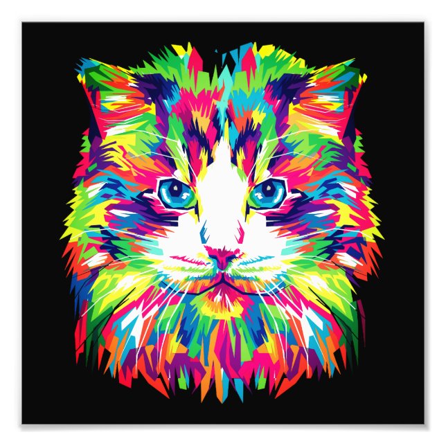 Foto Diseño geométrico prismático de cara de gato-32453 (Frente)