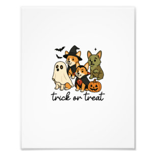 Foto disfraz de Halloween para corgi