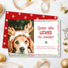 Foto divertida de mascota de Navidad que lamió sob
