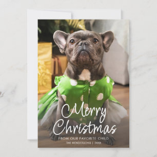 Foto divertida de mascota Feliz Navidad Familia