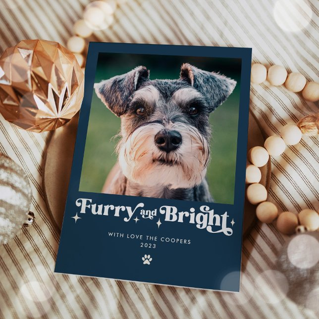 Foto divertida de Navidad de perro peludo y brilla (Subido por el creador)