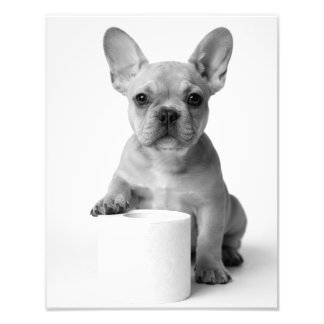 Foto divertida de papel higiénico con bulldog fran