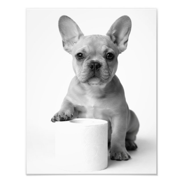 Foto divertida de papel higiénico con bulldog fran (Frente)