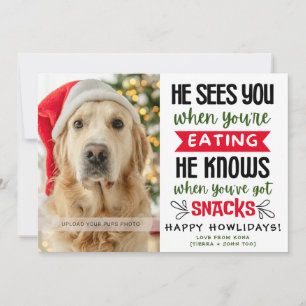 Foto Divertida de Perro Imagen de Navidad Personal