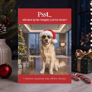 Foto divertida de perro mascota lindo en Navidad