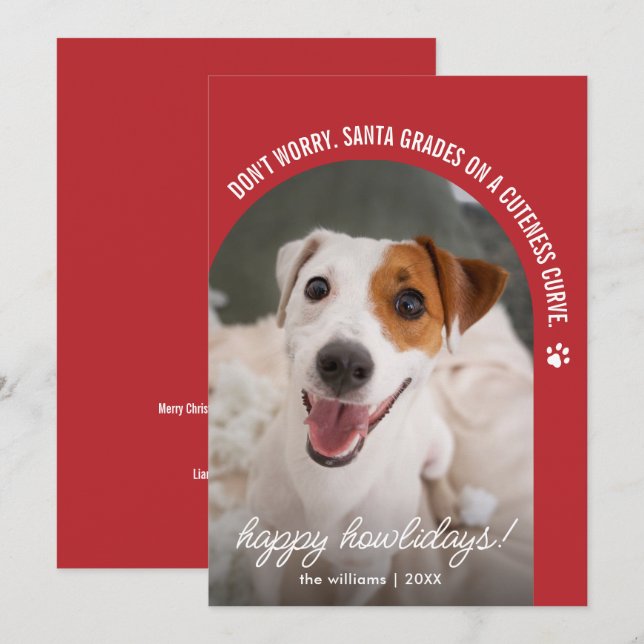 Foto divertida de perro Tarjeta de Navidad (Anverso / Reverso)
