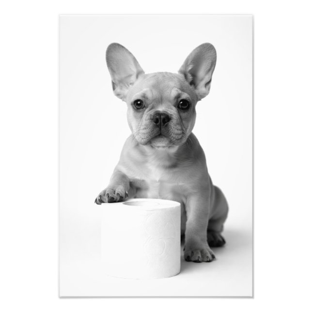 Foto divertida de un bulldog francés con papel hig (Frente)