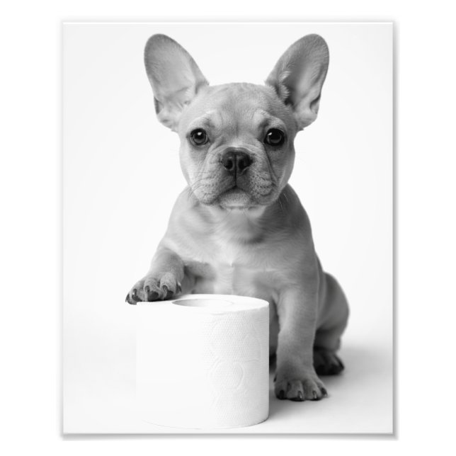 Foto divertida de un bulldog francés con papel hig (Frente)