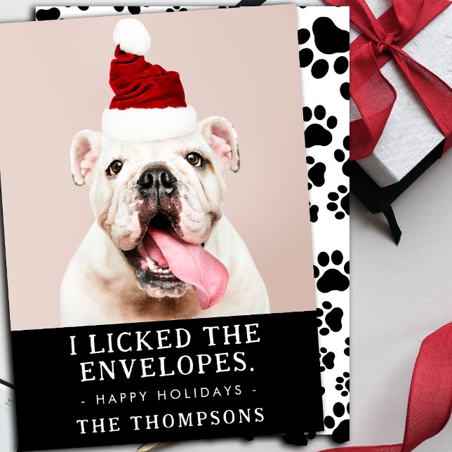 Foto divertida de un perro Navidad personalizada F (Picture of dog is by rawpixel.com / Freepik)