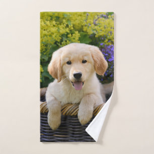 Foto divertida del mascota del perrito del perro