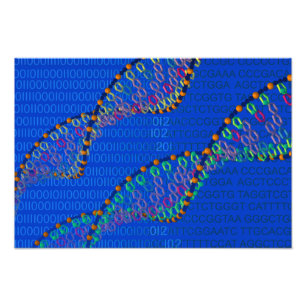Foto DNA humana y poster sintético de la DNA