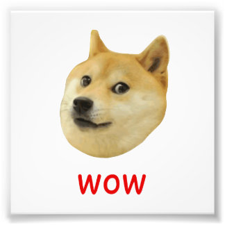 Foto Doge Muy Guau Mucho Perro Como Shiba Shibe Inu