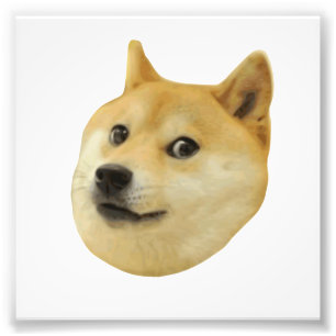 Foto Doge Muy Guau Mucho Perro Como Shiba Shibe Inu