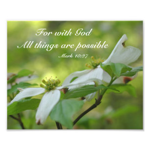 Foto Dogwood con citación de la Biblia de Dios Inspirad
