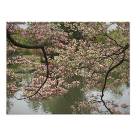 Foto Dogwood rosa de 16" x 12"