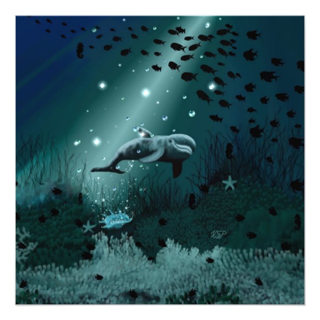 Foto Dolphin Dream (Frente)