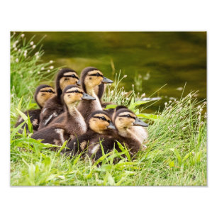 Foto ¿Dónde está mamá?