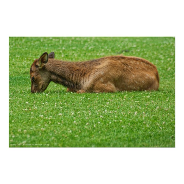 Foto Dormir pequeño uno (Frente)