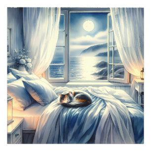 Foto Dormitorio costero iluminado por la luna con gato