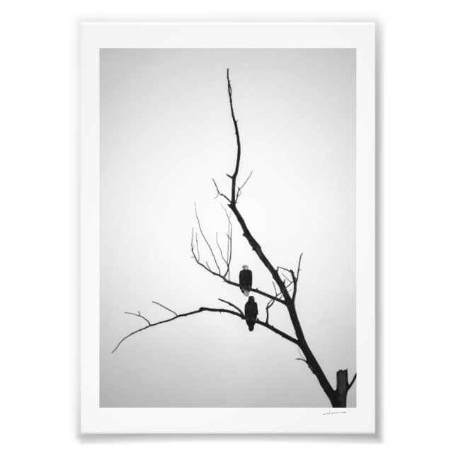 Foto Dos águilas (Frente)