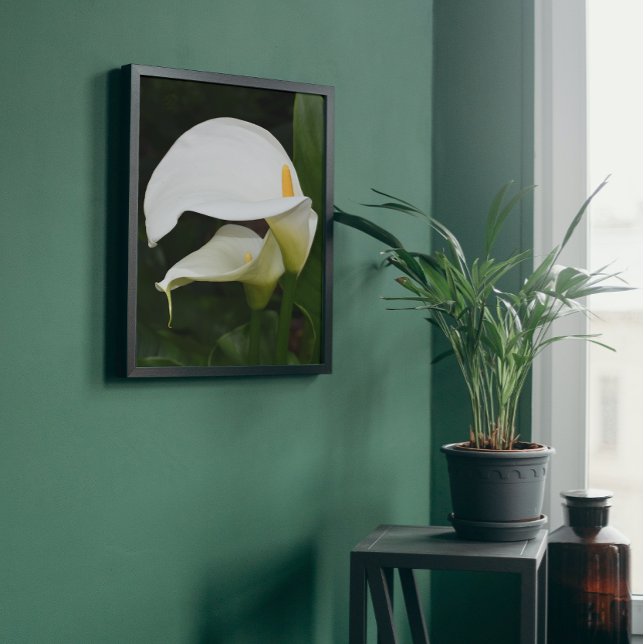 Foto Dos Calla Lilies Floral Blanca (In Situ Framed)