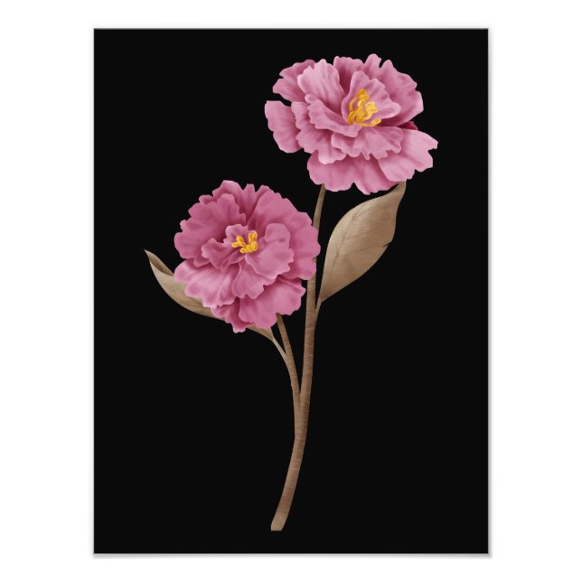 Foto Dos Peonías Rosadas (Frente)