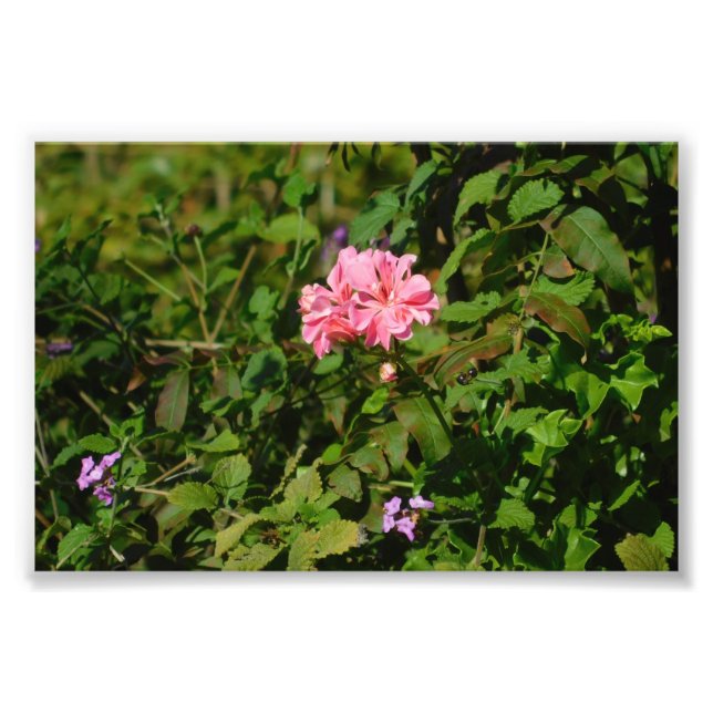 Foto Dos por uno (Frente)