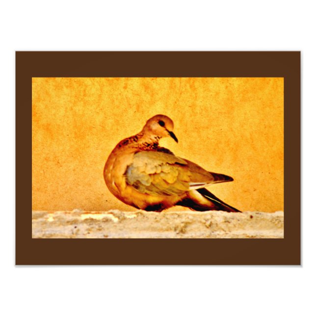 Foto Dove Beauty (Frente)