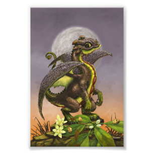 Foto Dragón de aguacate 4x6