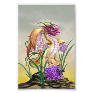 Foto Dragón de cebolla 4x6 Imprimir
