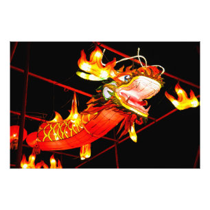 Foto Dragón de Fuego Zhulong